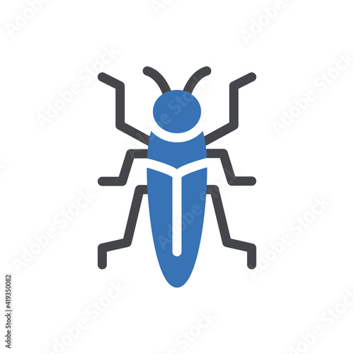 insect