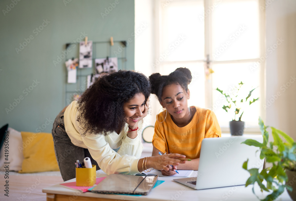 Portrait of young sisters with laptop indoors at home, e-learning concept. Portrait of young sisters with laptop indoors at home, e-learning concept.