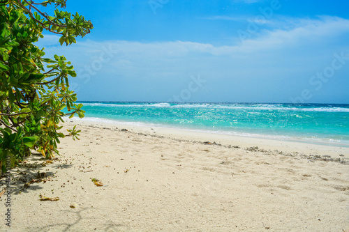 Fototapeta Naklejka Na Ścianę i Meble -  Sandy beach on a tropical island. Beautiful view with ocean and sky on sunny day