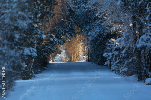 Winter road