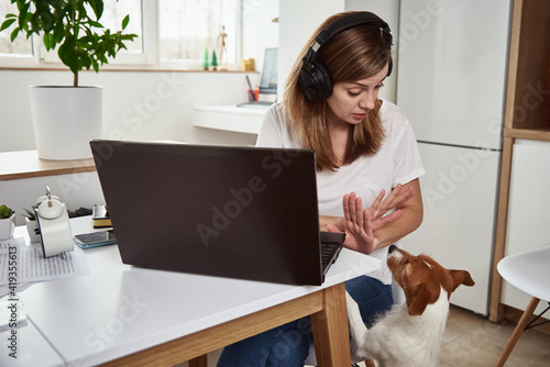 Woman work at laptop with her dog, dog interferes working. Remote work concept.