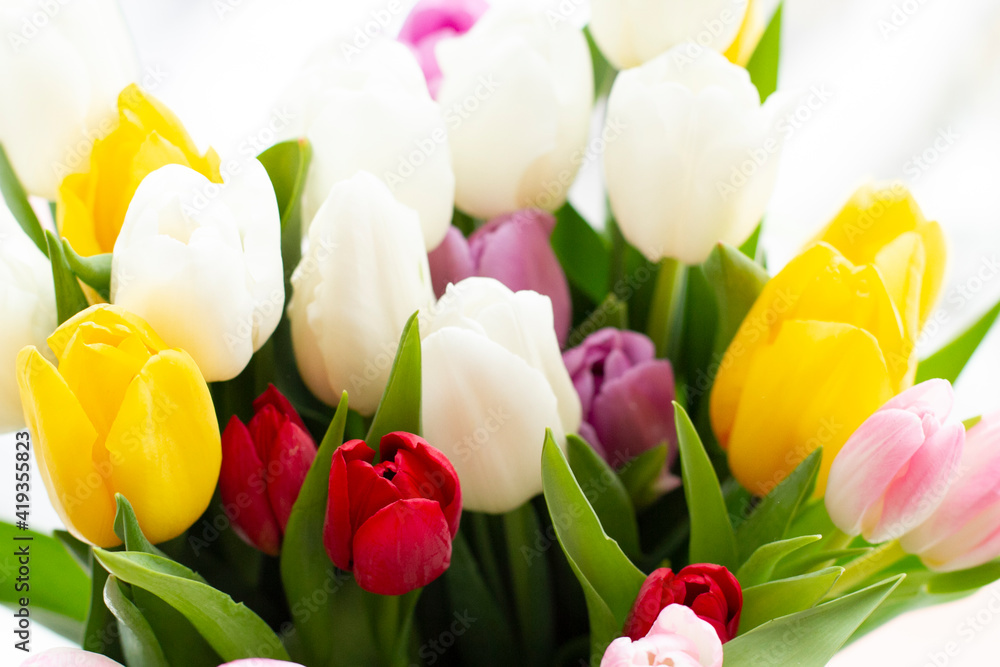 Tulip, tulips bouquet. Holiday decor with flowers. Tulip, tulips bouquet. Holiday decor with flowers.