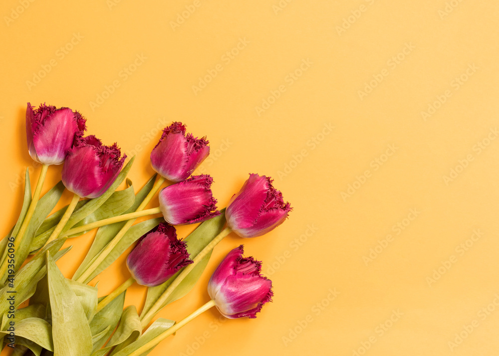 Fototapeta premium Pink tulip flowers bouquet on yellow background. Flat lay, top view. Greeting card for International Women Day.