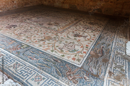 Slika na platnu Floor mosaics from the Southern Pastophorion (pastophoria) in the Basilica of Do