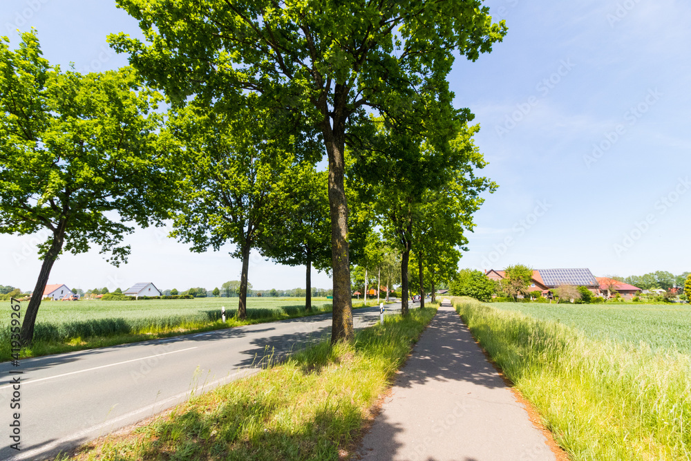 Radweg an einer Landstraße im Sommer Radweg an einer Landstraße im Sommer