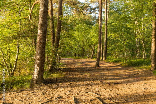 Wanderweg im 