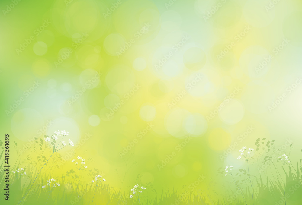 Vector green, bokeh, nature background.