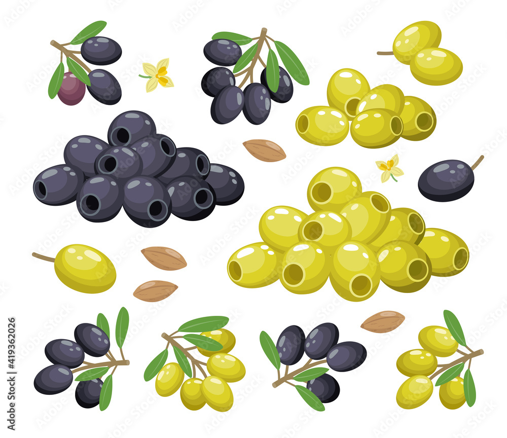 Olives set, groups, piles, branches, green and black olives, seedless and ripe isolated on white background - decoration set of vector illustration isolated on white background. Olives set, groups, piles, branches, green and black olives, seedless and ripe isolated on white background - decoration set of vector illustration isolated on white background.