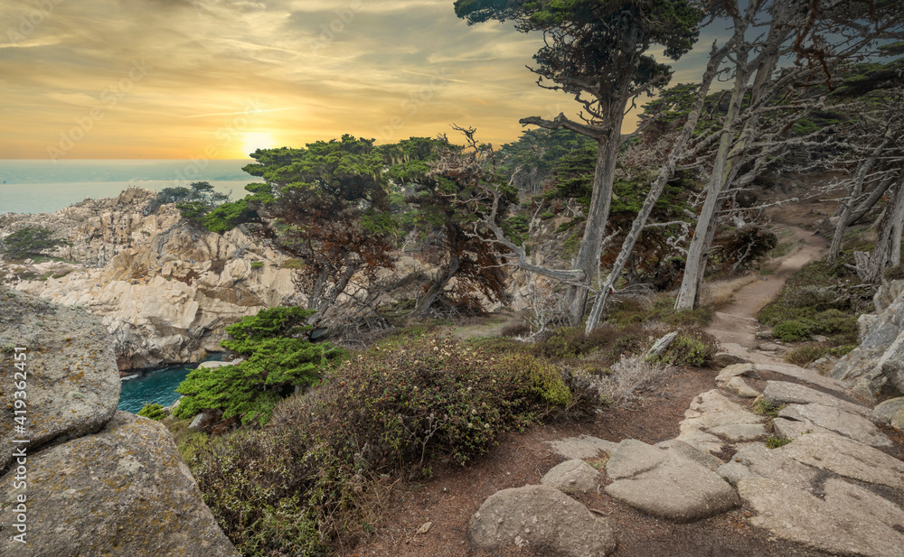 Beautiful landscape view of the hiking trail on the rocky Pacific coast at Point Lobos State Reserve in Carmel, California.