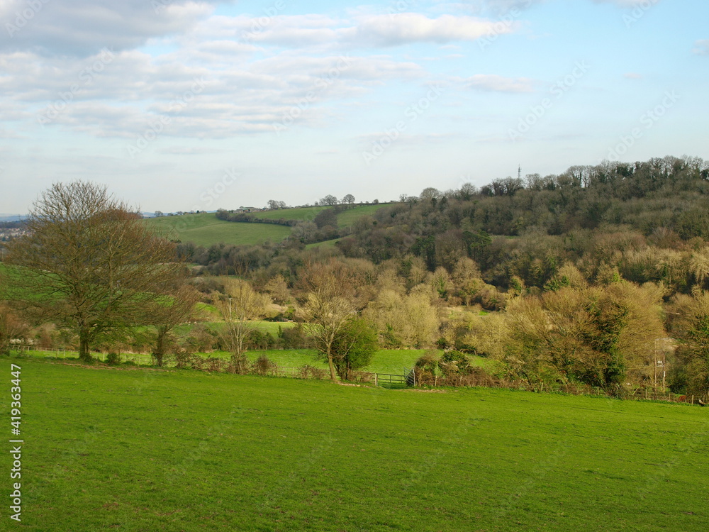 landscape with trees