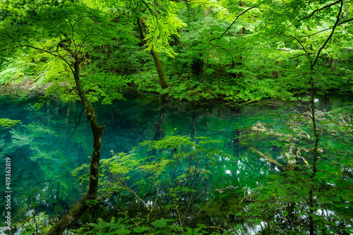 白神山地にある沸壺の池