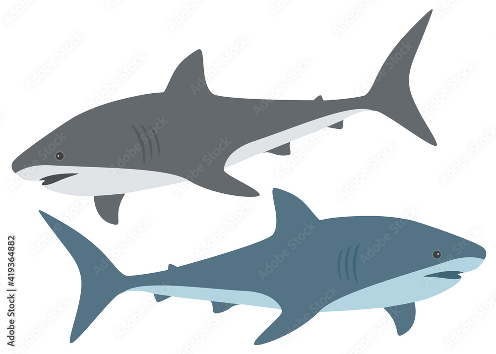 Gray and turquoise shark in the set. Vector image. Gray and turquoise shark in the set. Vector image.