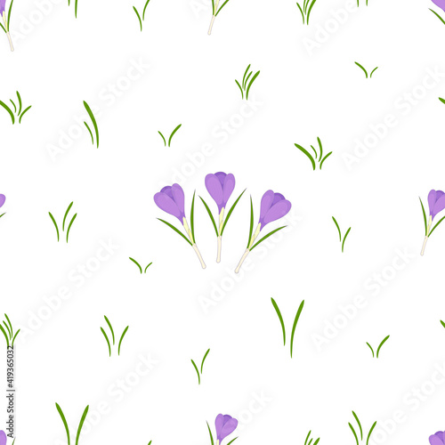 Seamless pattern with crocus flowers. Spring and floral texture on white and transparent backgrounds.