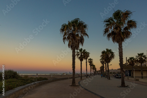 Palm trees at the Patacona beach at sunset near the city of Valencia