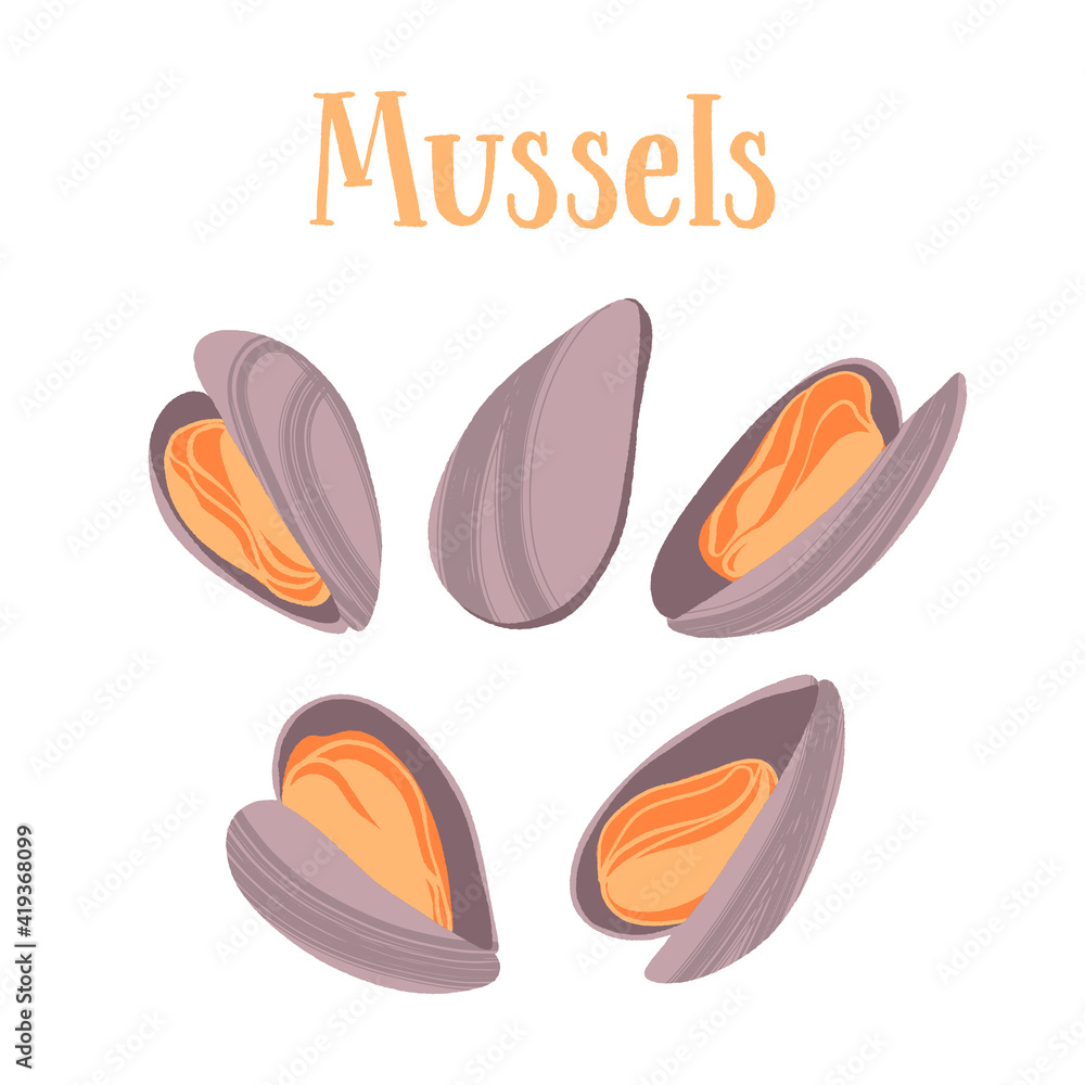 Obraz premium Seafood healthy nutrition product. Mussels in shells.