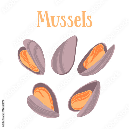 Seafood healthy nutrition product. Mussels in shells.