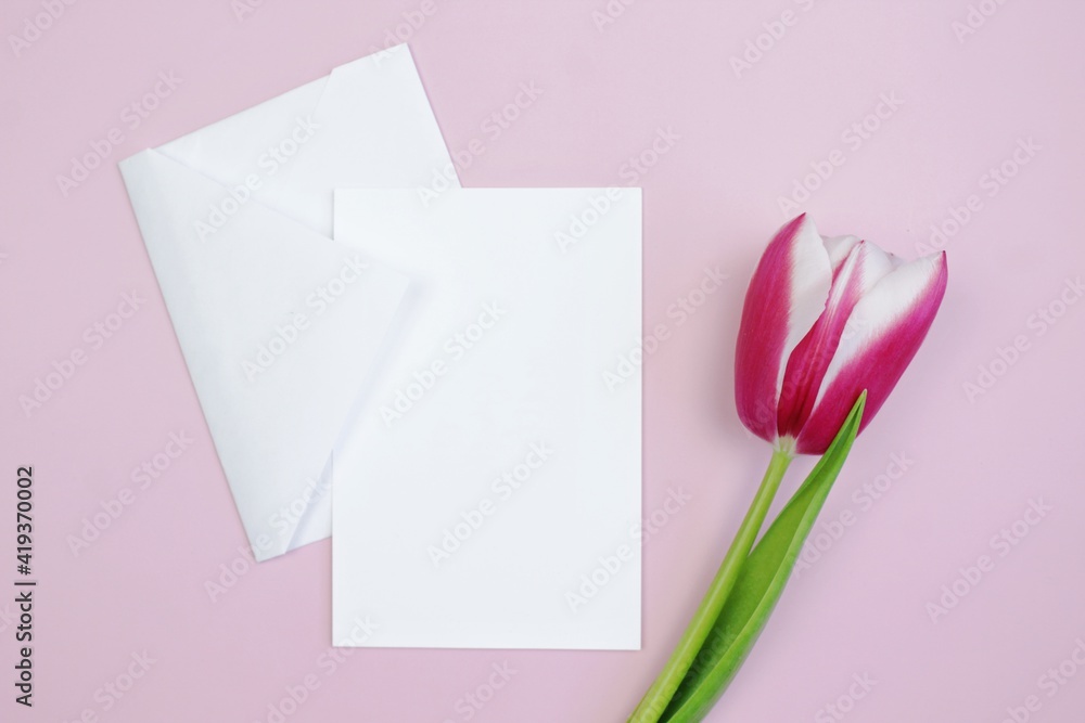 pink tulip with blank card pink tulip with blank card