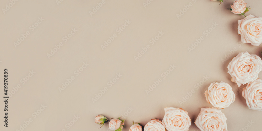 Beige rose