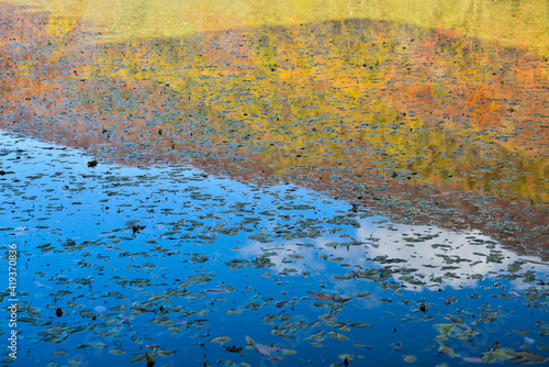 自然の中のグラデーション