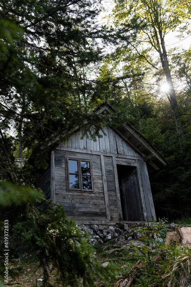 Wooden cabin in the woods at Tara mountain in Serbia Wooden cabin in the woods at Tara mountain in Serbia