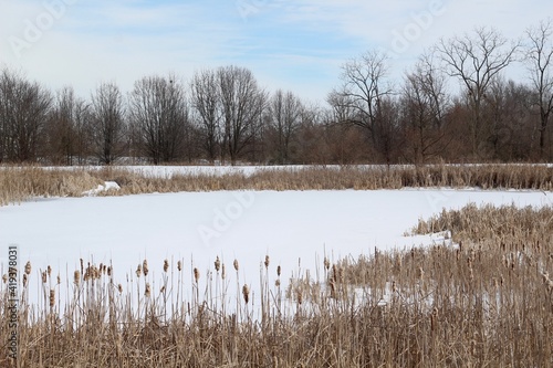 Fototapeta Naklejka Na Ścianę i Meble -  The snowy and frozen pond in the country park.