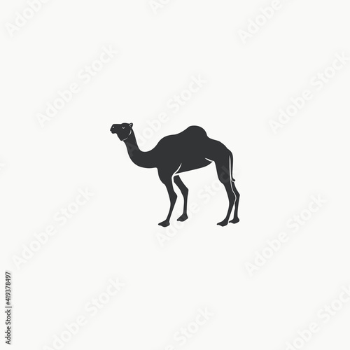 Camel icon graphic design vector illustration © Dede