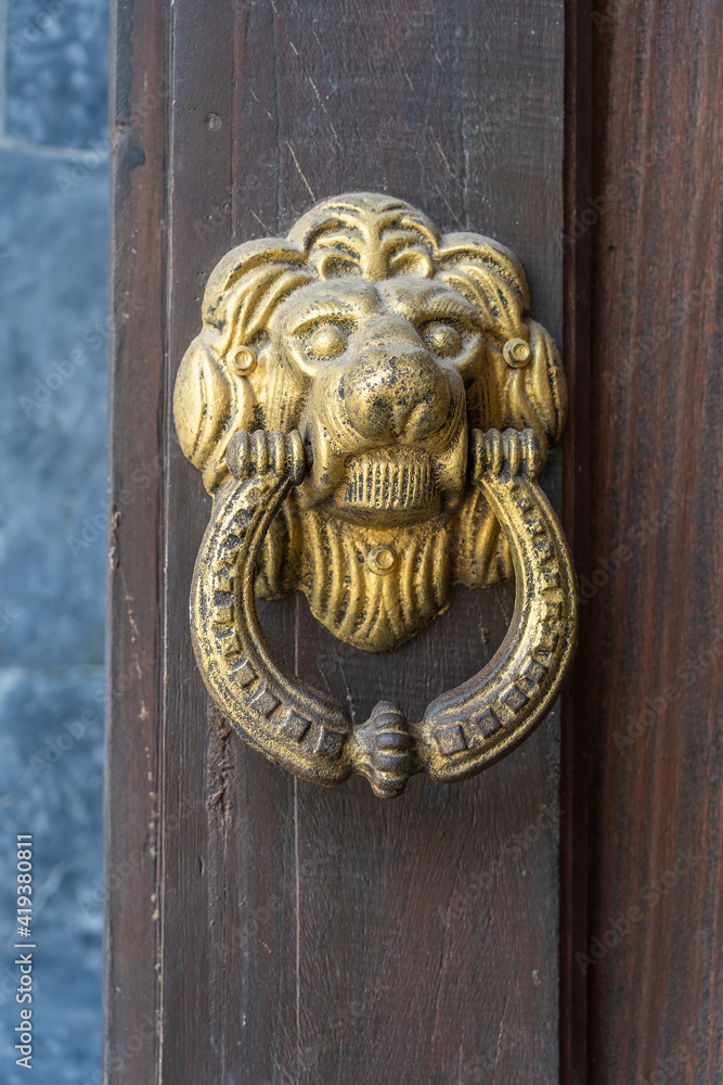 Door knocker in the shape of a golden lion, close up