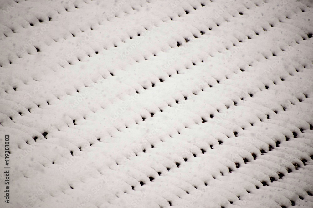 Snow Athens Greece 2021   