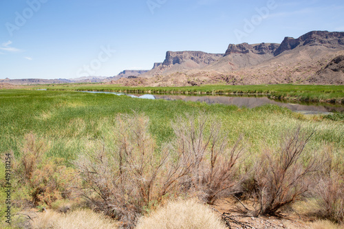 Bill Williams River National Wildlife Refuge in Arizona, USA