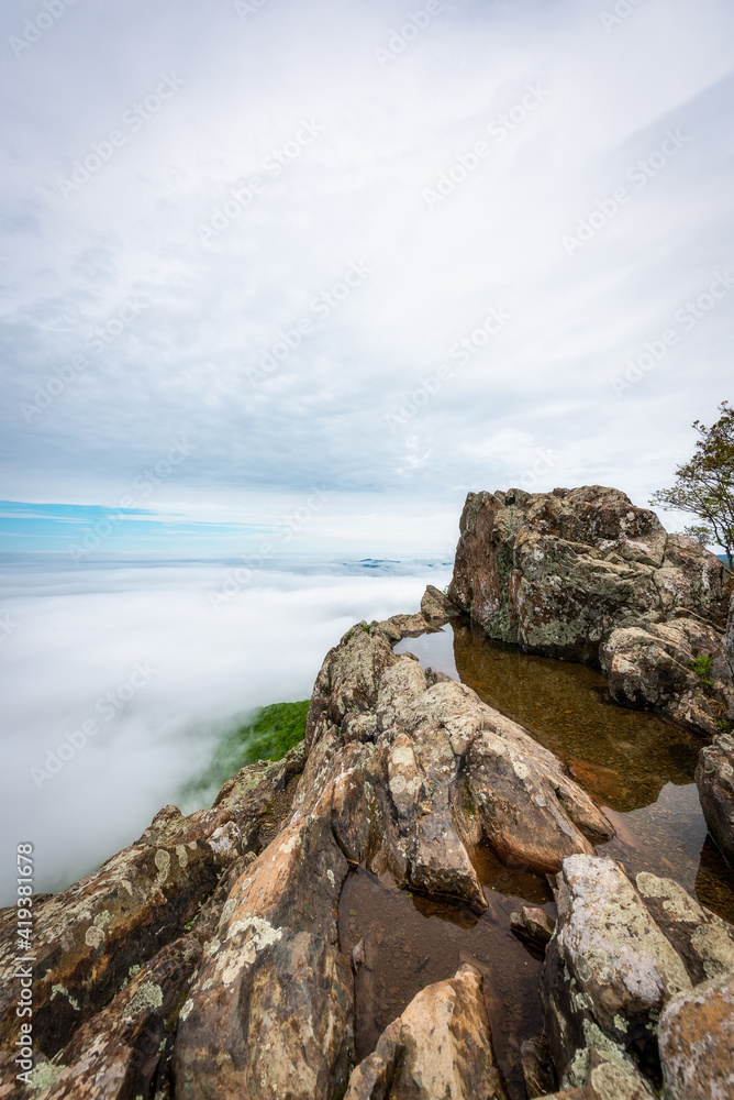 The puddle of Little Stony Man Mountain in Shenandoah National Park on a very foggy Spring day. The puddle of Little Stony Man Mountain in Shenandoah National Park on a very foggy Spring day.