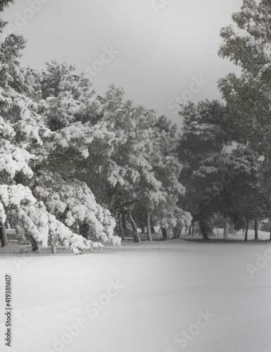 Snow Athens Greece 2021    photo