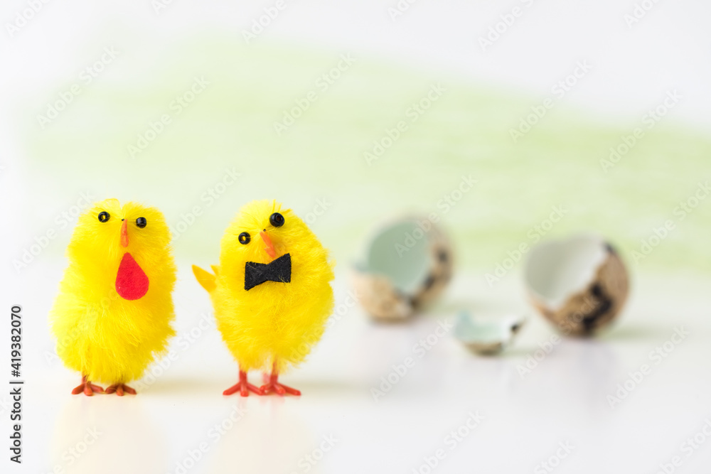 Concept of easter. Two chickens hatched and went for a walk. Broken shell in the background