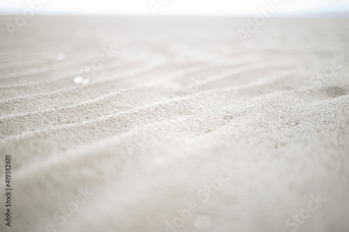 Rainy sand texture with shells.