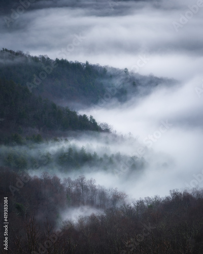 A foggy Winter day in Shenandoah National Park that perhaps resembles the Pacific Northwest more so than the east coast Appalachian Mountains.