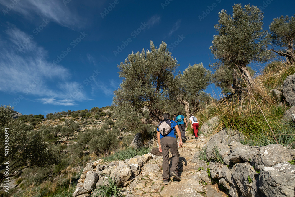 traditional cobblestone road GR221, Es Tossals Verds section, Mallorca, Balearic Islands, Spain traditional cobblestone road GR221, Es Tossals Verds section, Mallorca, Balearic Islands, Spain