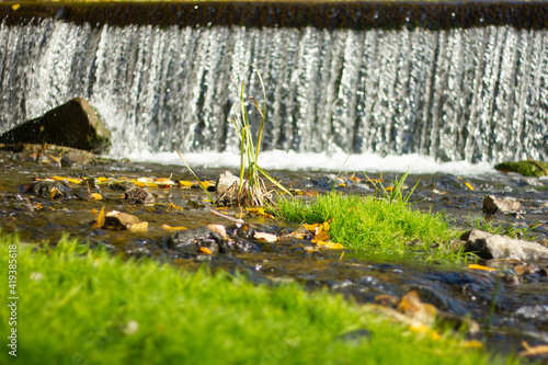 autumn waterfall in the park © Лиза Колобовникова
