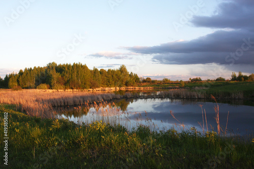 landscape by the water at sunset