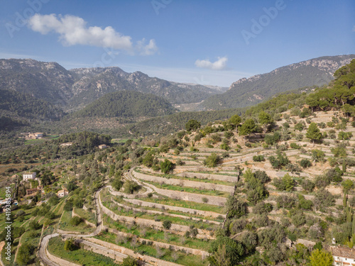 bancales de Es Moleto, Bunyola, Mallorca, Balearic Islands, Spain photo