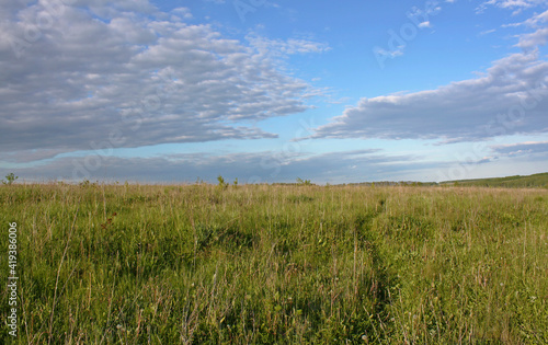 Summer landscape with cloudy sky and green grass