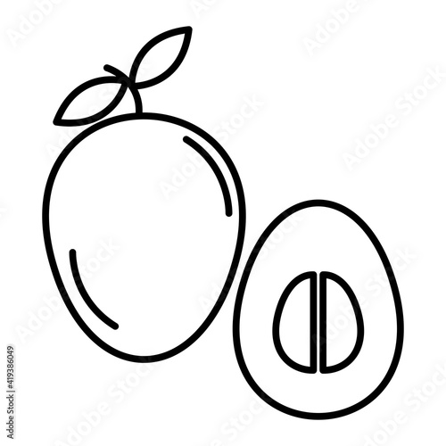 Vector Sapodilla Outline Icon Design