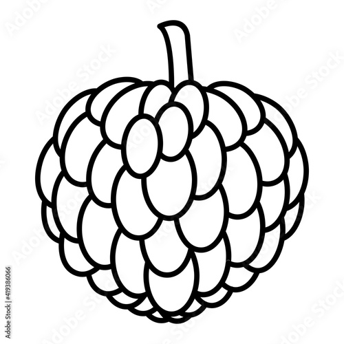 Vector Custard Apple Outline Icon Design