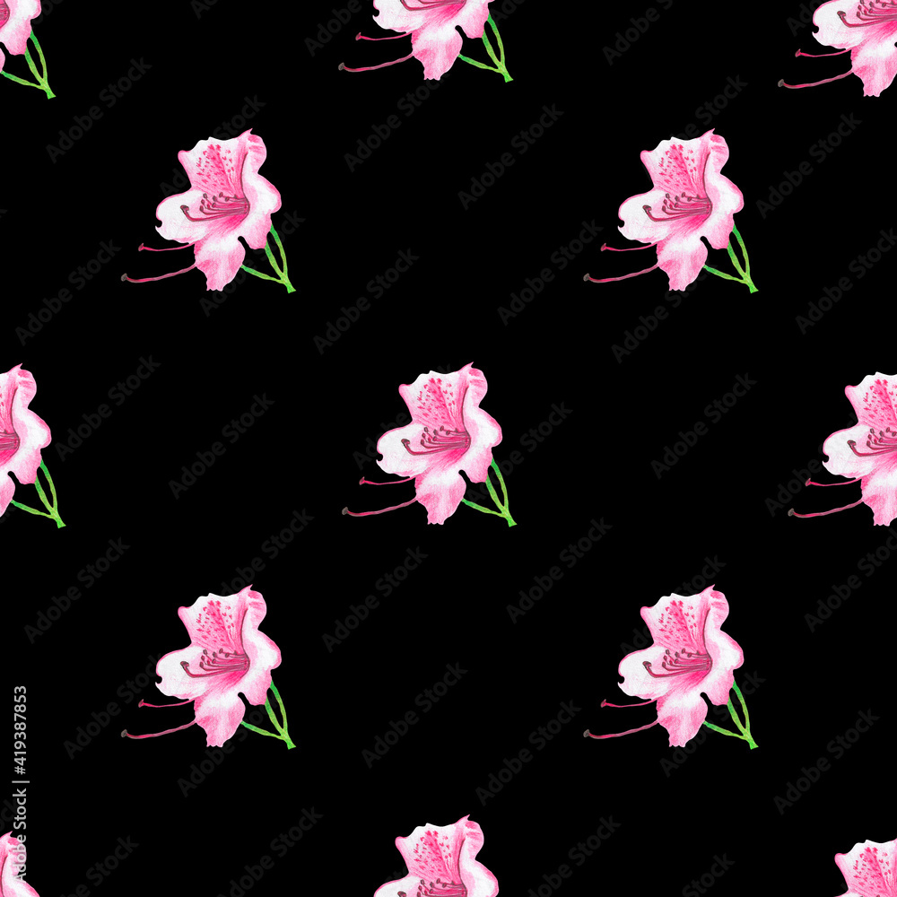 Seamless pattern with pink rhododendron flowers on black background. Hand drawn in colored pencils. Tender and romantic design perfect for wedding invitations, postcards, wrapping paper, scrapbooking