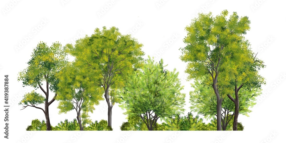 Tree Watercolor Architecture Graphic by DenizDesign · Creative Fabrica