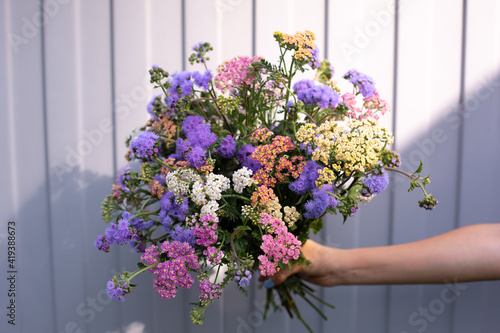 Beautiful bouquet of achillea and ageratum flowers. Hand with bouquet of seasonal flowers. Purple, pink, blue and yellow flowers on grey background. photo