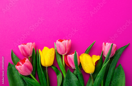 Bright spring or summer background with fresh tulips
