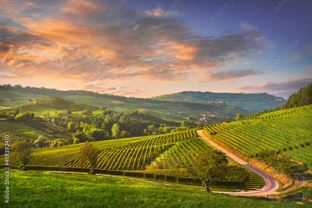Langhe vineyards view, Barolo and La Morra, Piedmont, Italy Europe.