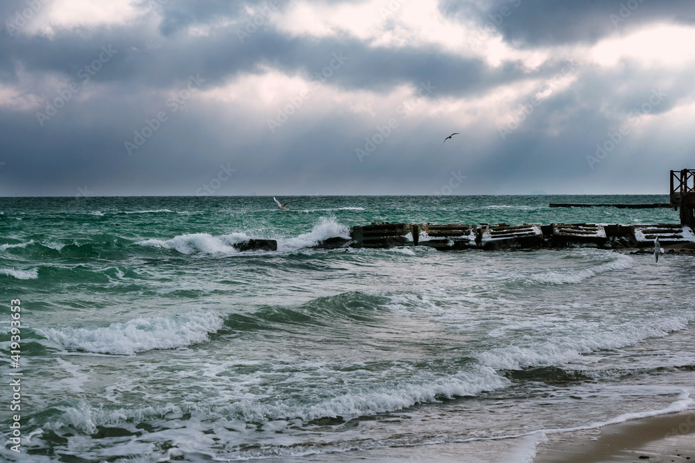 black sea in winter. seagulls fly in the sky. storm. black sea in winter. seagulls fly in the sky. storm.