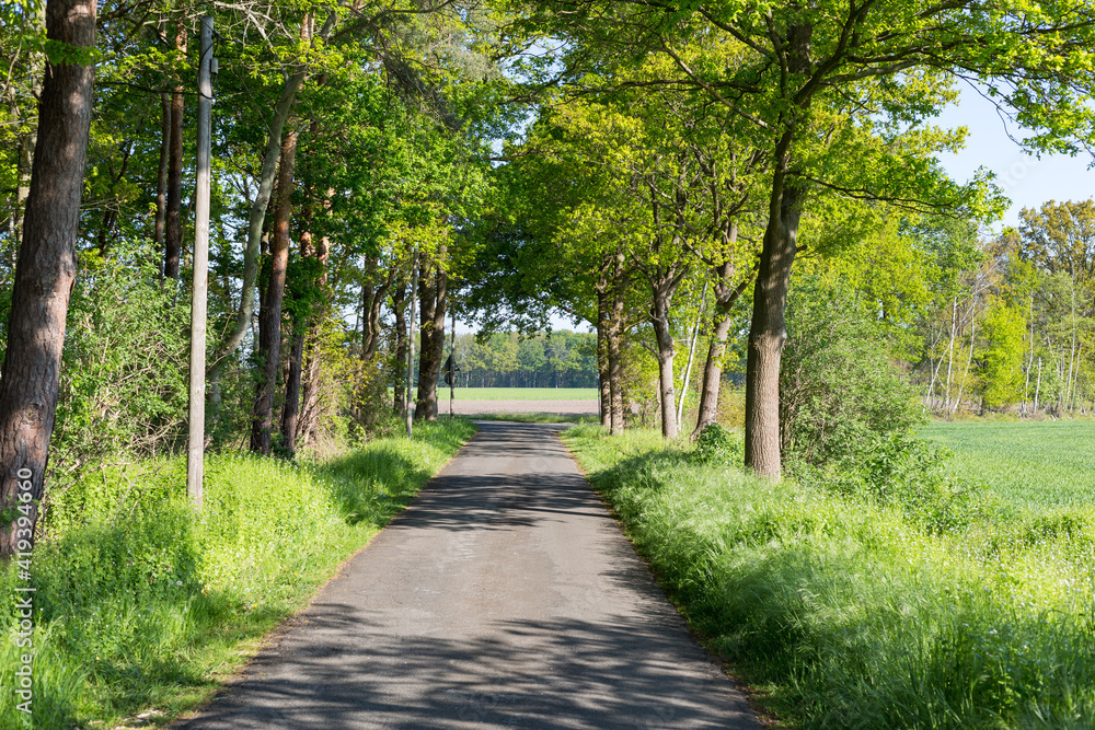 Weg auf dem Land entlang von Feldern und Wäldern