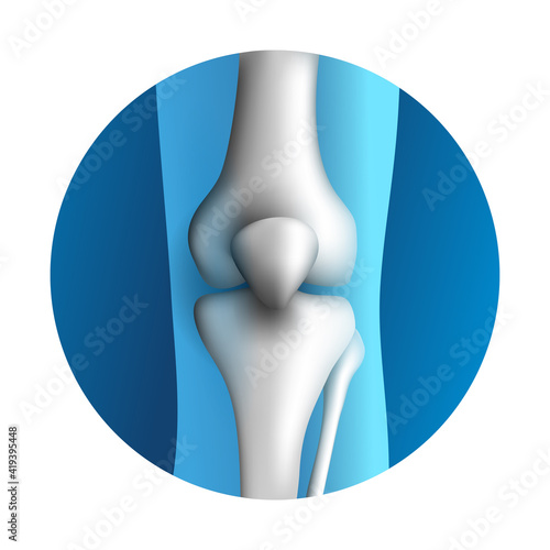 Knee synovial joint 3D icon