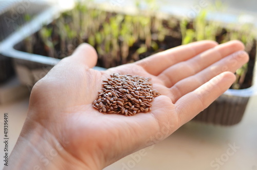 A farmer holds seeds in his hand.